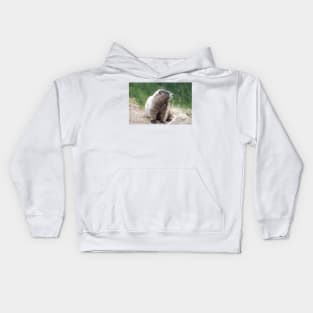 Hoary marmot (Marmota caligata) in Mount Rainier National Park Kids Hoodie